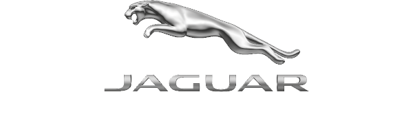 Jaguar the art of performance